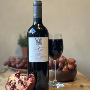 Fontanilles - Domaine des 2 Ânes - magali-roux