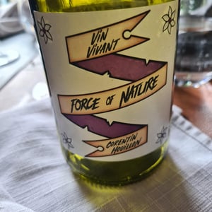 Force of Nature - Flower Bird’s Place - Domaine de Veronnet - corentin-houillon