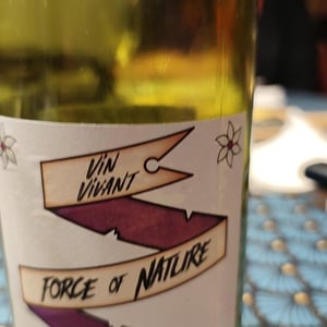 Force of Nature - HC-vins - Corentin Houillon 