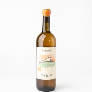 Foresta - La Vinicola di Antonio Gismondi - Anabel & Antonio Gismondi -2021