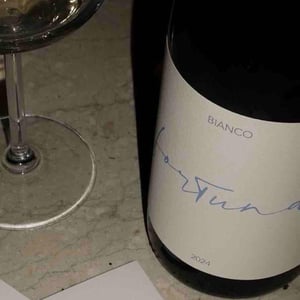 Fortuna - Tiberi Vini Artigianali - cesare-piero-federico-tiberi -2024