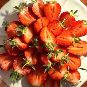 Fraises De Gattiere - Café Paulette - 1339569