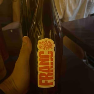 Franc - Domaine Frédéric Mabileau - remy-mabileau -2025