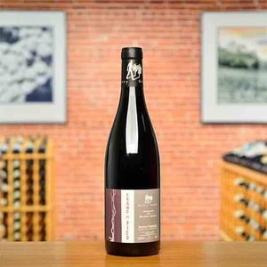 Franc de Pied - Domaine des Roches Neuves - Thierry et Louis Germain -2022