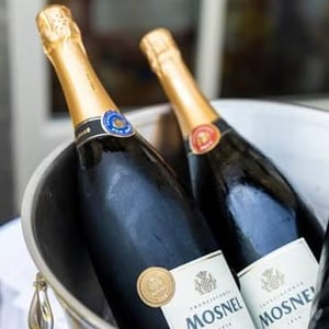 Franciacorta Brut - Mosnel - Flavio Polenghi 