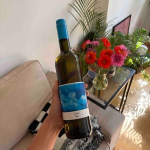 Freiheit red - Weingut Bianka und Daniel Schmitt - daniel-bianka-schmitt -2022