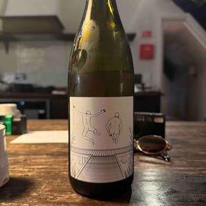 Freisprung Grüner Veltliner - RauSchnitt Weine - michael-nittnaus-mathias-rauscher -2020