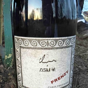 Frenzy - Weingut Claus Preisinger - Claus Preisinger -2023