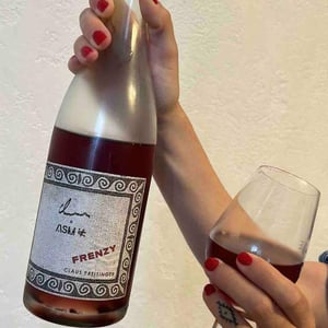 Frenzy - Weingut Claus Preisinger - Claus Preisinger -2023