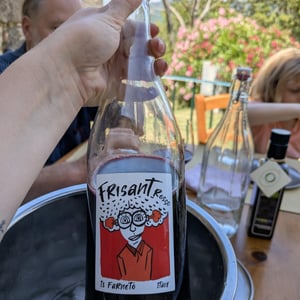Frisant Rosso - Il Farneto - Marco Bertoni