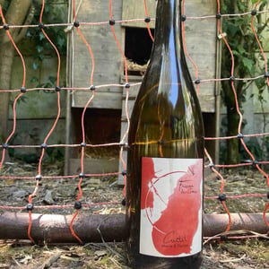 Frisson Des Cimes (Red Label) - Marie et Florian Curtet Vignerons - Marie & Florian Curtet 