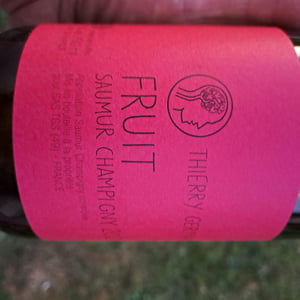 Fruit - Domaine des Roches Neuves - thierry-et-louis-germain -2021