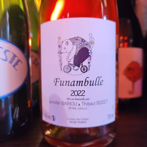 Funambulle - Bariou & Bodet - jennifer-bariou-thibaut-bodet