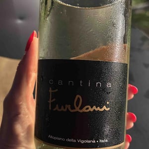 Furlani - Cantina Furlani - matteo-furlani