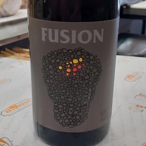 Fusion - No Control - Vincent Marie 