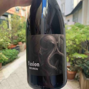 Fusion - Le Haut Planty - Alain & Christian Couillaud -2025