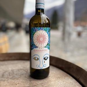 Gaiospino - Fattoria Coroncino - Lucio e Fiorella Canestrari -2020