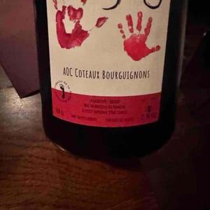 Gamay - Sylvain Bock - brice-fortunato -2022