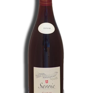 Gamay - Domaine de Trivel - Sidonie Joggerst & Thomas Guillon 