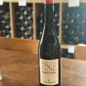 Gamay - Domaine Prieuré Roch - Henry-Frédéric Roch & Yannick Champ 