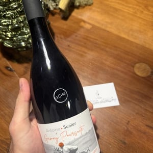 Gamay Poursuite - Antoine Sunier - Antoine Sunier -2024