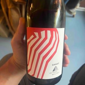 Gamay - Les Pierres Meslières - Frédéric Monnier -2021