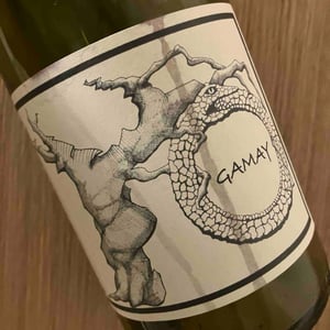 Gamay - Jean-Christophe Garnier - Jean-Christophe Garnier -2023