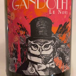 Gandolfi - Domaine Le Novi - romain-dol -2024