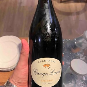 Garennes Extra Brut - Champagne Georges Laval - mathilde-et-vincent-laval