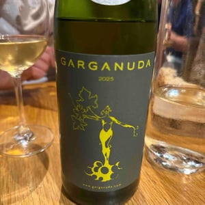 Garganuda - Garganuda - Andrea Fiorini Carbognin -2024
