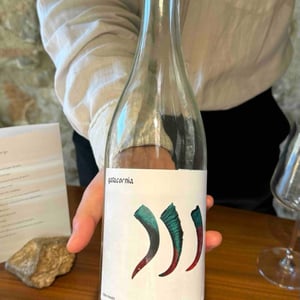 Gatacornia - Mädèr Vino - giuseppe-locatelli