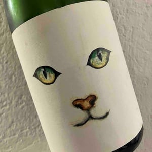 Gato - Mas guallar - camila-opazo -2023