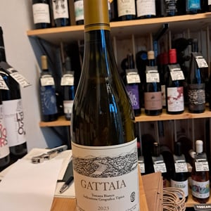 Gattaia Chenin Blanc - Terre di Giotto - michele-lorenzetti