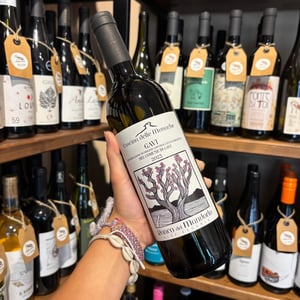 Gavi DOCG - Cascina delle Monache - Tiziano Arecco -2023
