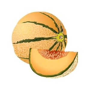 Gazpacho Di Cantalupo, Yogurt E Menta - Meno Vini e Altre Necessità - 1391825