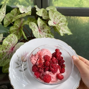 Gelato - Cascina Trapella - 1373257