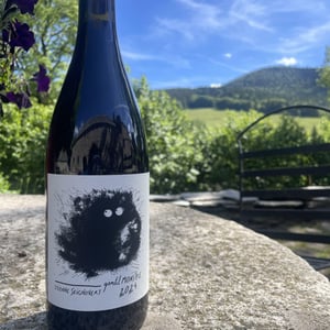 Gentil Monstre - Domaine Etienne Seignovert - etienne-seignovert