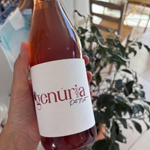 Pet Nat - Genúria Wines - João Jacinto 
