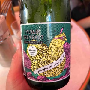 Georges est une poule - Ferme Saint Maurice - Sylvain Thevenet -2023