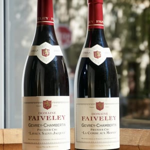 Gevrey Chambertin 1er cru Lavaux Saints-Jacques - Domaine de Trivel - Sidonie Joggerst & Thomas Guillon -2017
