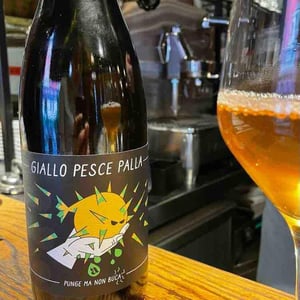 Giallo Pesce Palla - Tenuta l'Armonia - andrea-pendin -2022