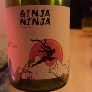 Ginja Ninja - Tierra De Castilla - citizen-wine -2021