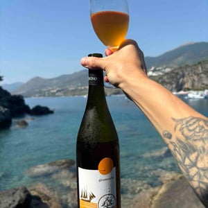Giramondo - L'Acino - dino-briglio-nigro