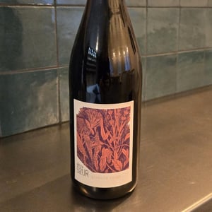 Globule Rouge - Domaine de la Petite Soeur - Adrien de Mello -2019