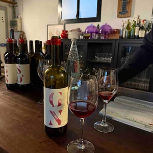 GN - Partida Creus - Massimo Marchiori & Antonella Gerosa -2022