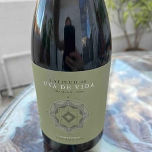 Graciano - Uva de Vida - Carmen Lopez, Luis Ruiz 