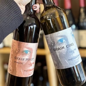 Grain Pinot Charrat - Domaine Chappaz - Marie-Thérèse Chappaz -2019
