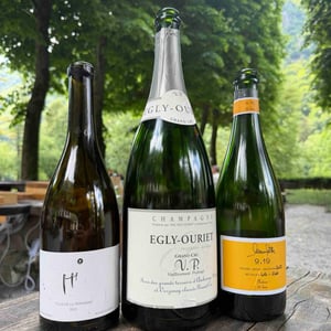 Grand cru VP - Egly-Ouriet - francis-egly-ouriet