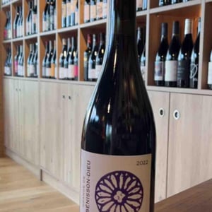 Grange De La Bénisson-Dieu Syrah - Domaine de La Bénisson-Dieu - Régis et Aude-Reine Anouil 