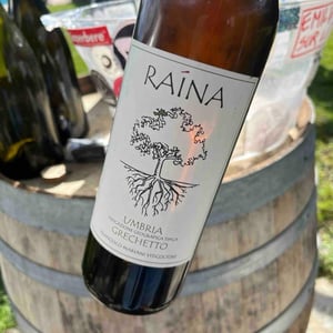 Grechetto Raina - Raína - Francesco Mariani 